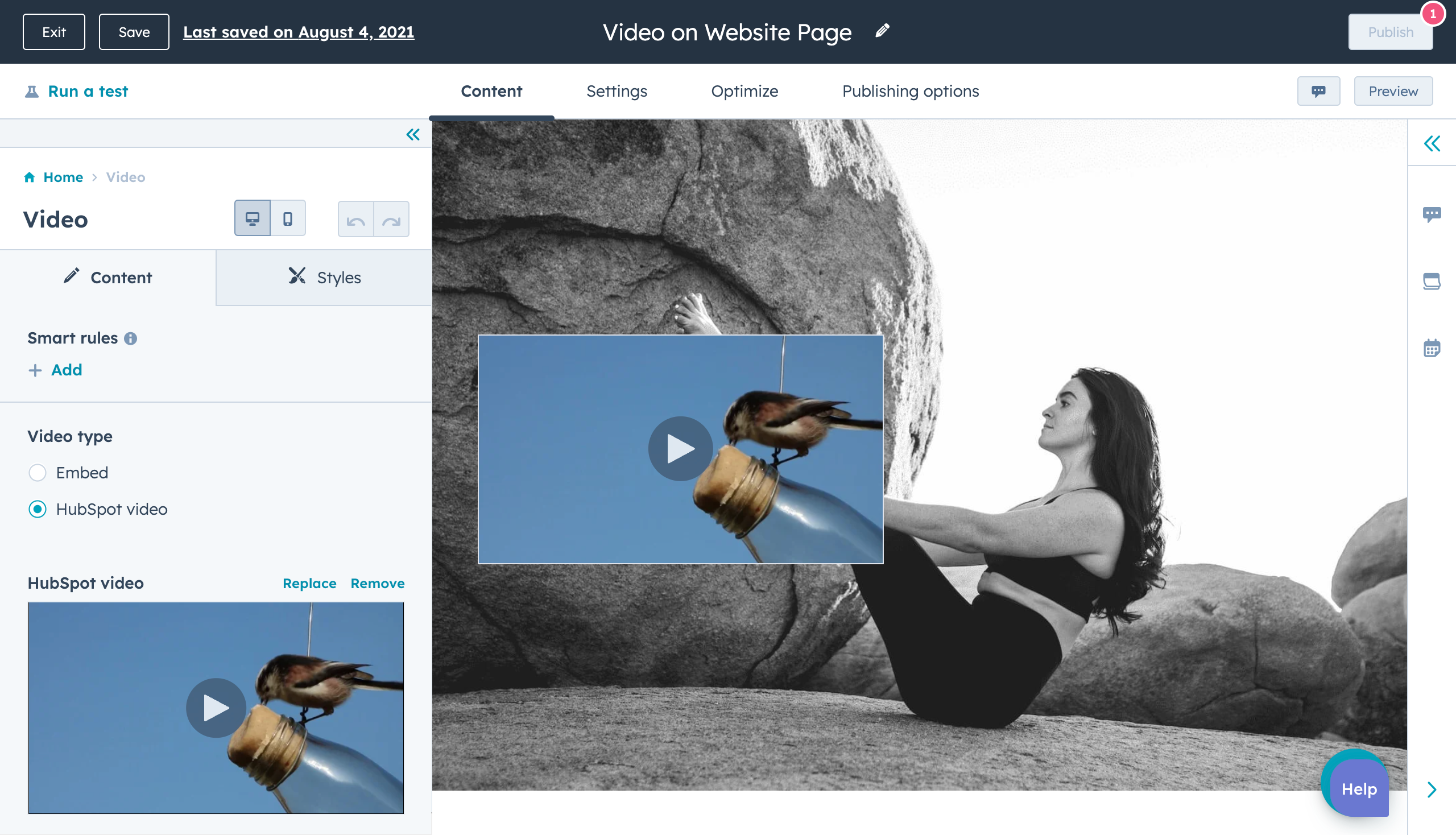 HubSpot Video_EN (1)